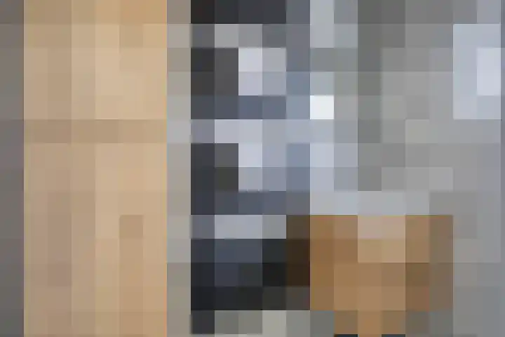 Wethouder Deodatusplantsoen 10 Roden thumbnail 47