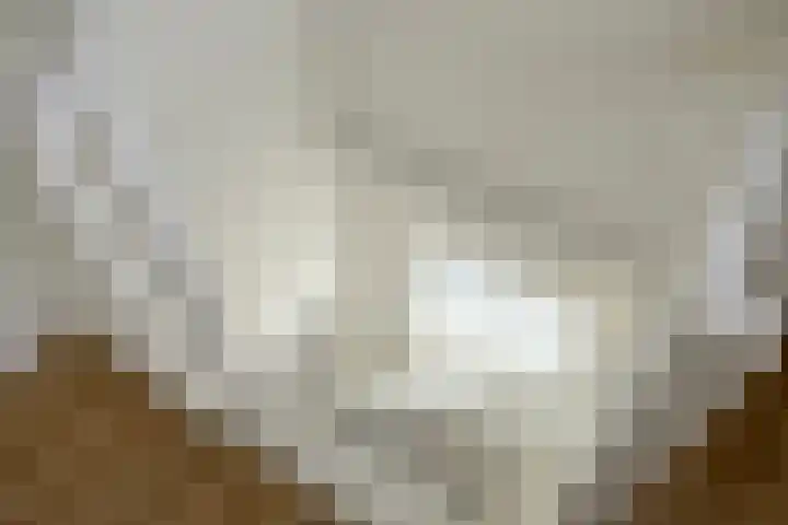Wethouder Deodatusplantsoen 10 Roden thumbnail 50