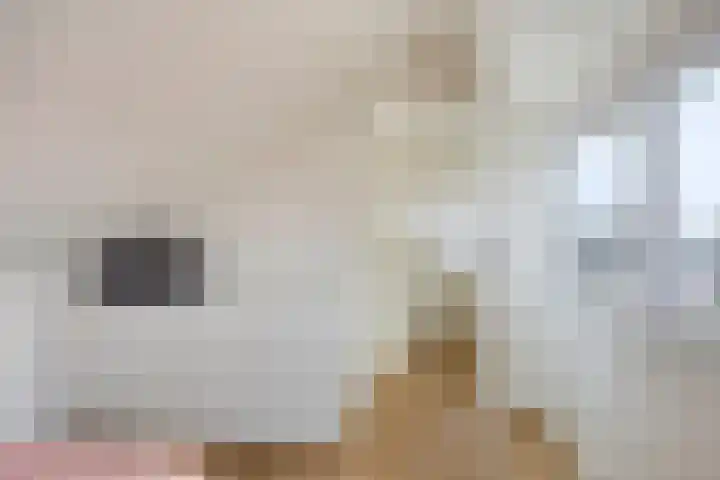 Wethouder Deodatusplantsoen 10 Roden thumbnail 52