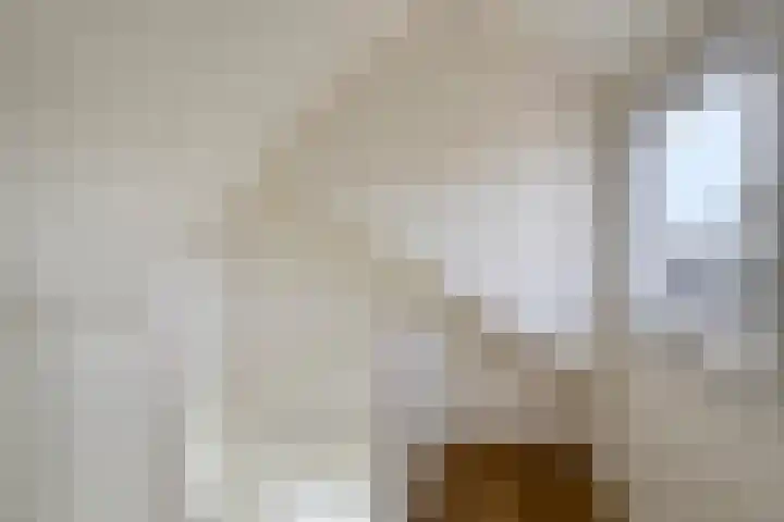 Wethouder Deodatusplantsoen 10 Roden thumbnail 53