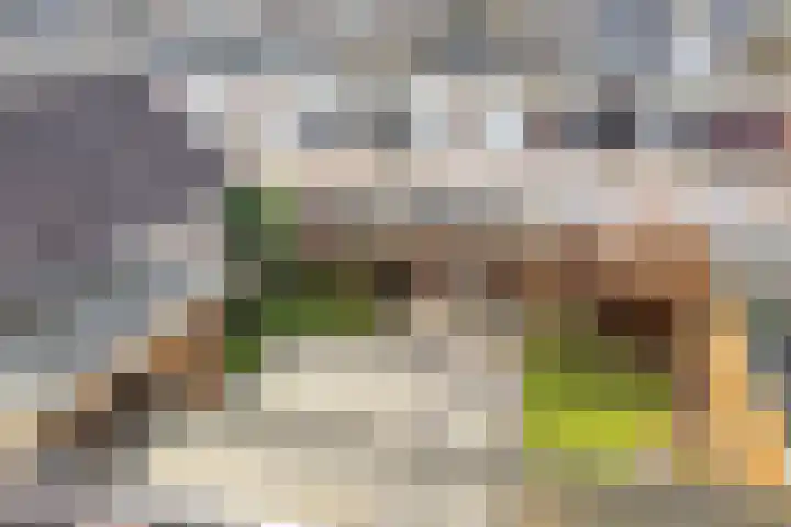Wethouder Deodatusplantsoen 10 Roden thumbnail 54