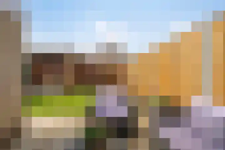 Wethouder Deodatusplantsoen 10 Roden thumbnail 55