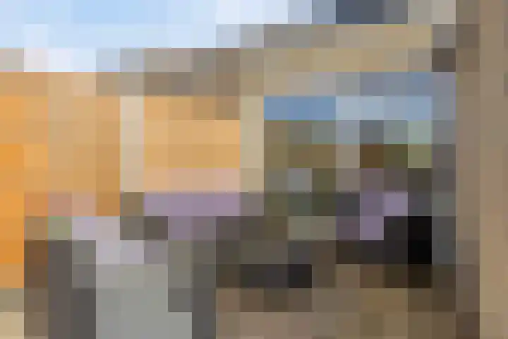 Wethouder Deodatusplantsoen 10 Roden thumbnail 56