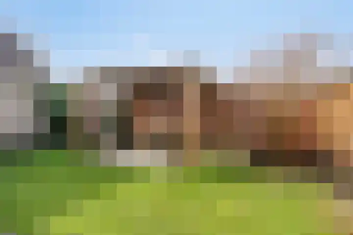 Wethouder Deodatusplantsoen 10 Roden thumbnail 58