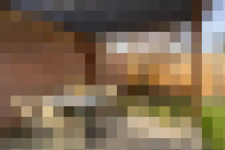 Wethouder Deodatusplantsoen 10 Roden thumbnail 60