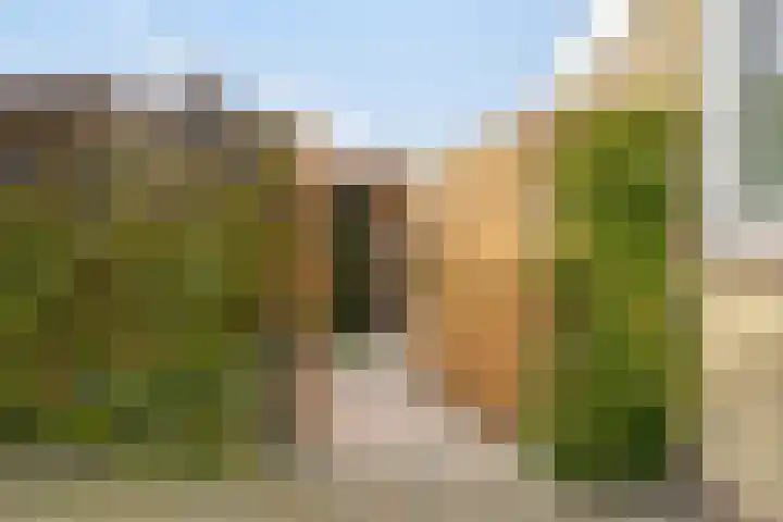 Wethouder Deodatusplantsoen 10 Roden thumbnail 63