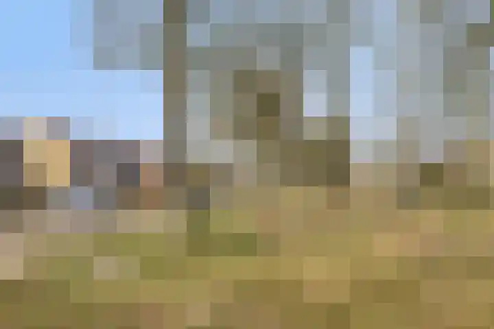 Wethouder Deodatusplantsoen 10 Roden thumbnail 65