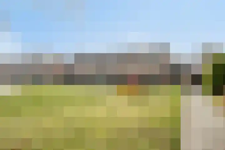 Wethouder Deodatusplantsoen 10 Roden thumbnail 66