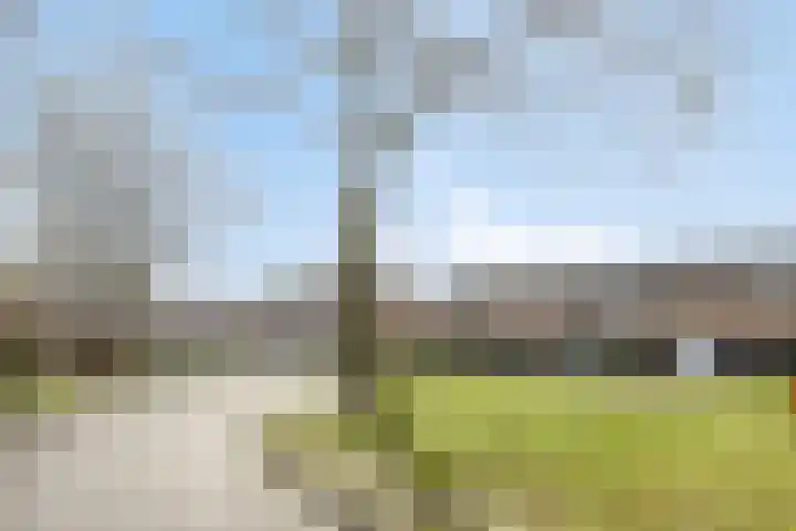 Wethouder Deodatusplantsoen 10 Roden thumbnail 67