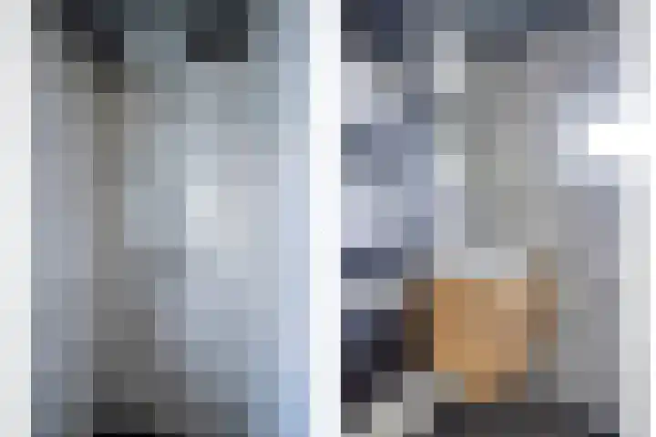 Wethouder Deodatusplantsoen 10 Roden thumbnail 7