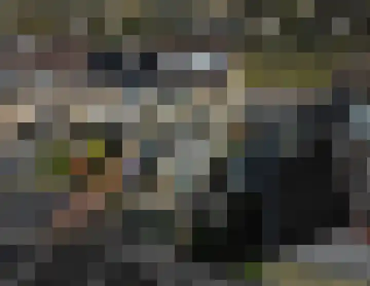 Wethouder Deodatusplantsoen 10 Roden thumbnail 70