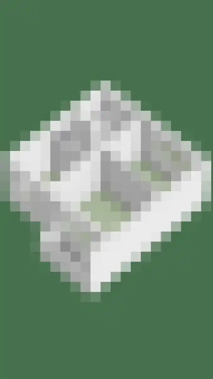 Wethouder Deodatusplantsoen 10 Roden thumbnail 78