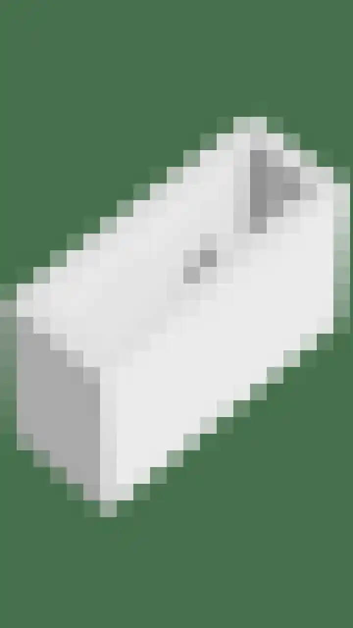 Wethouder Deodatusplantsoen 10 Roden thumbnail 80