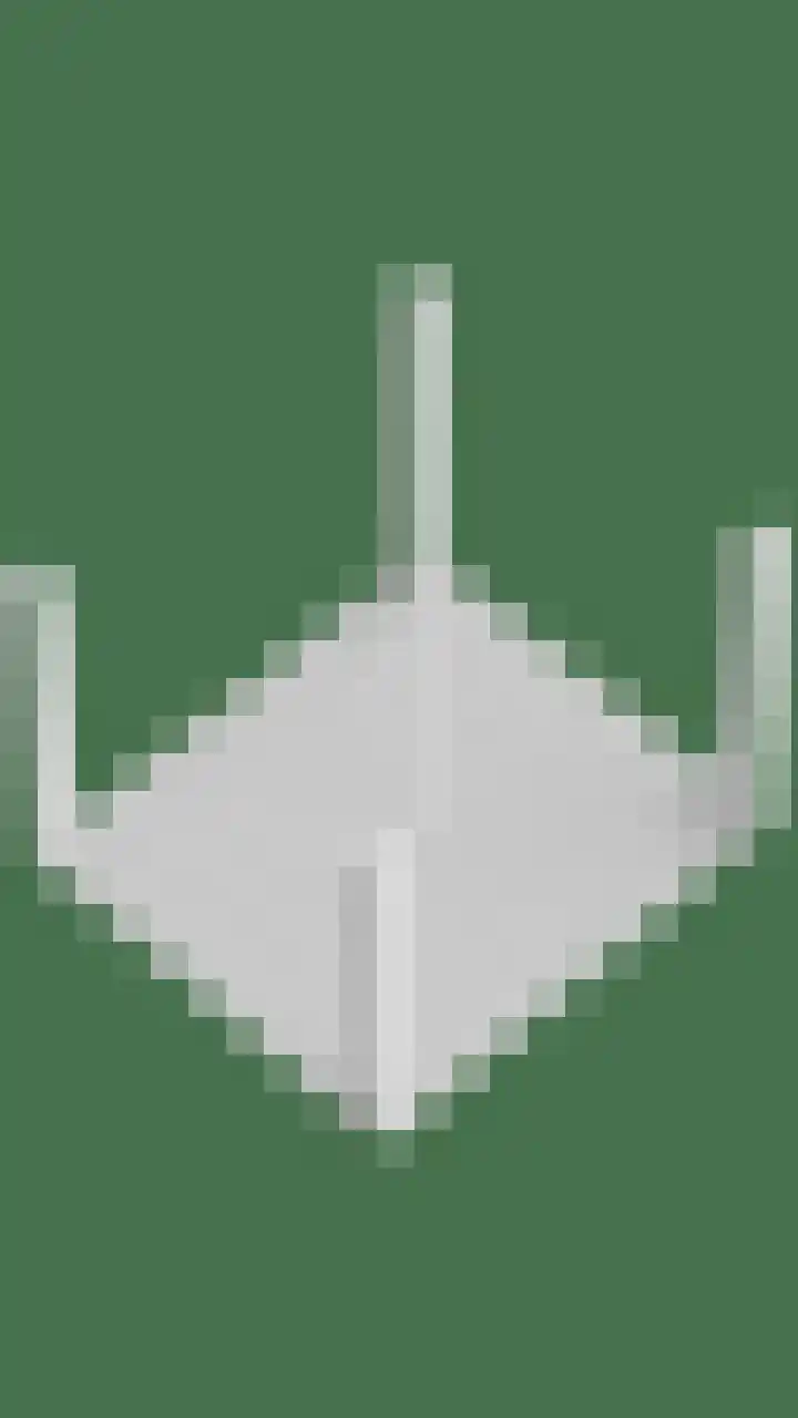 Wethouder Deodatusplantsoen 10 Roden thumbnail 82
