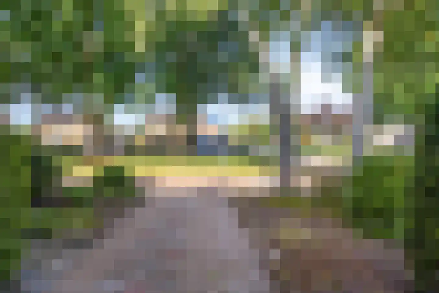 Wethouder Deodatusplantsoen 23 Roden thumbnail 12