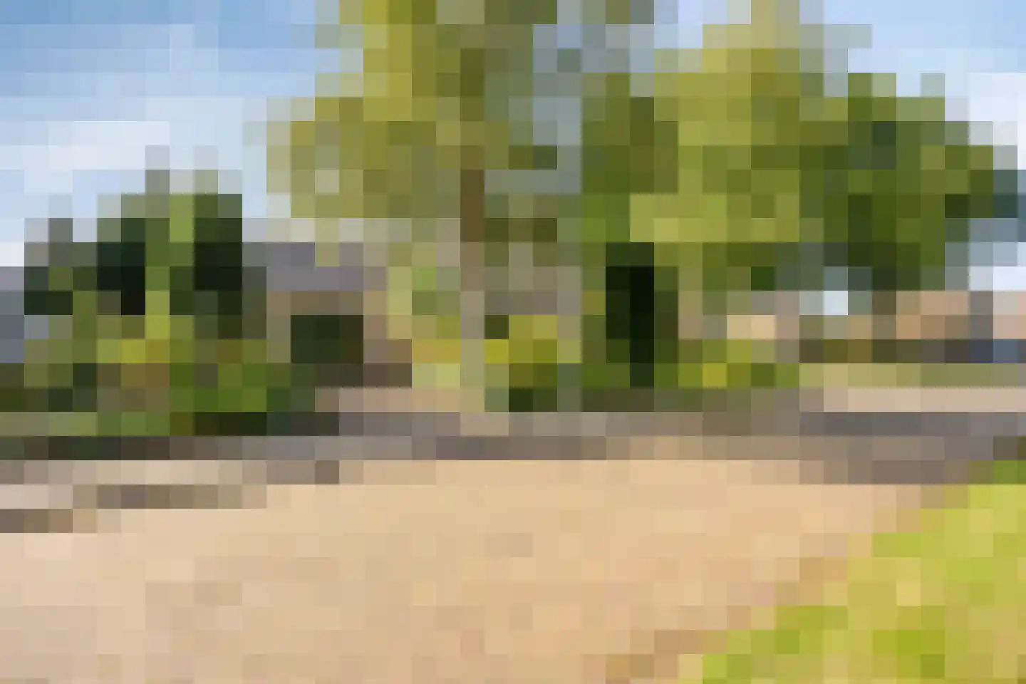 Wethouder Deodatusplantsoen 23 Roden thumbnail 13