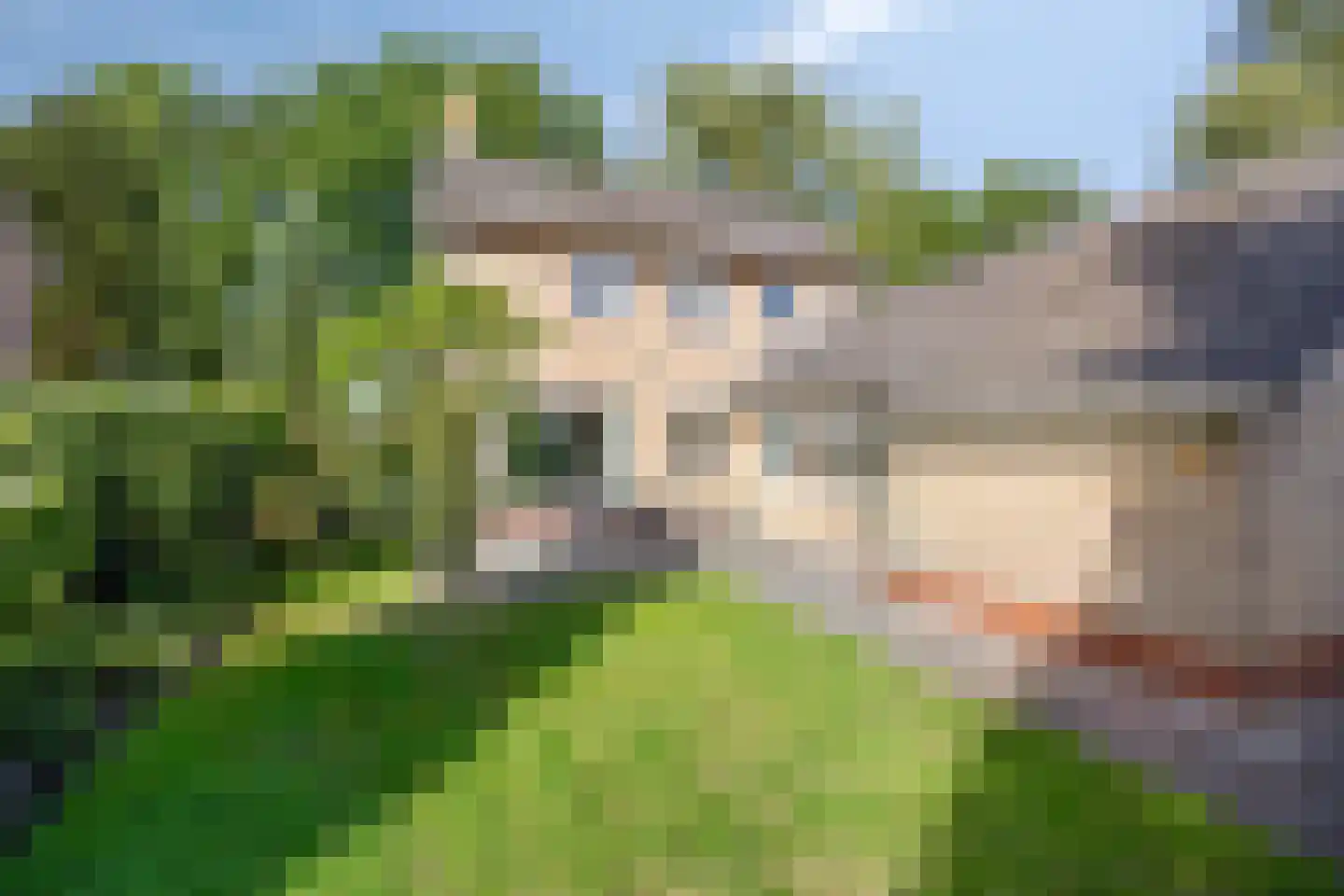 Wethouder Deodatusplantsoen 23 Roden thumbnail 50