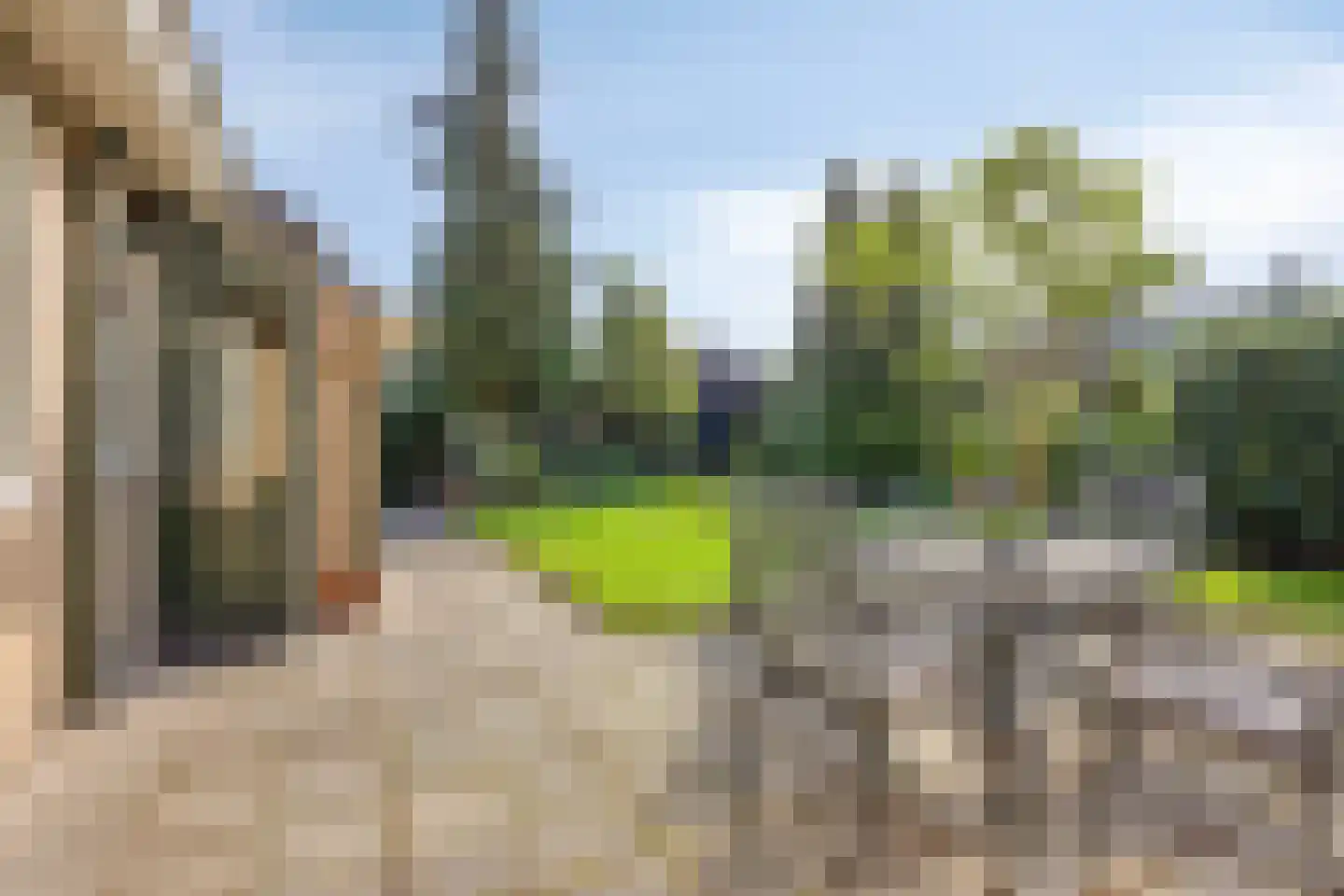 Wethouder Deodatusplantsoen 23 Roden thumbnail 51