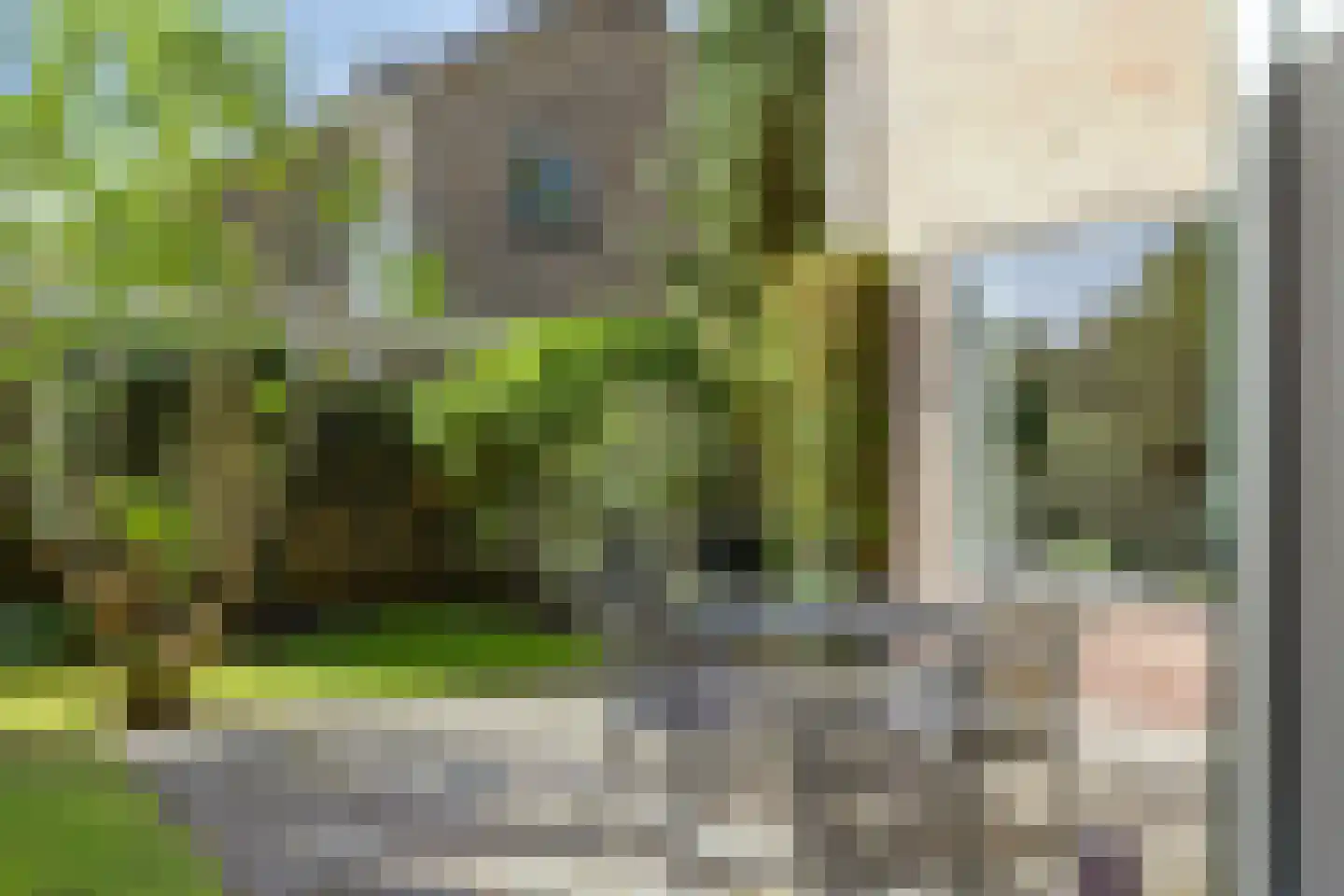 Wethouder Deodatusplantsoen 23 Roden thumbnail 52