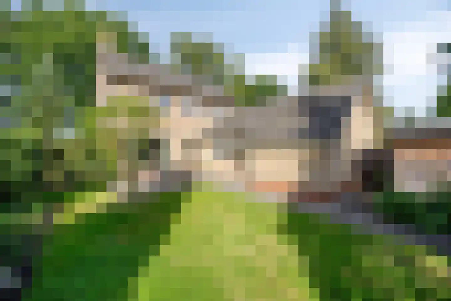 Wethouder Deodatusplantsoen 23 Roden thumbnail 53