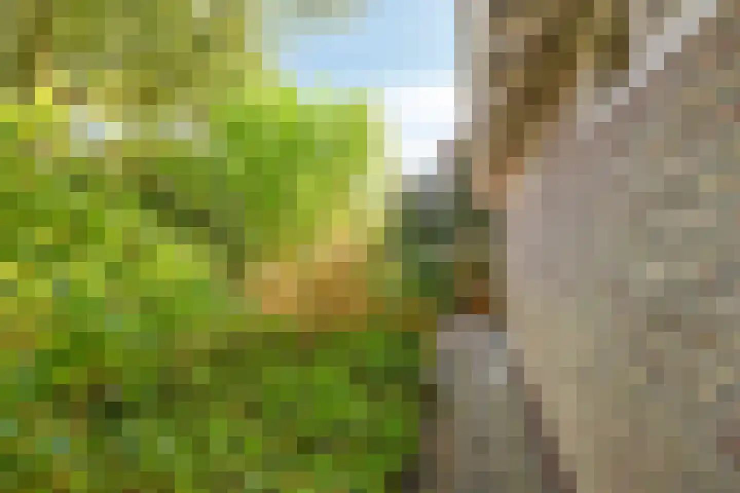 Wethouder Deodatusplantsoen 23 Roden thumbnail 57