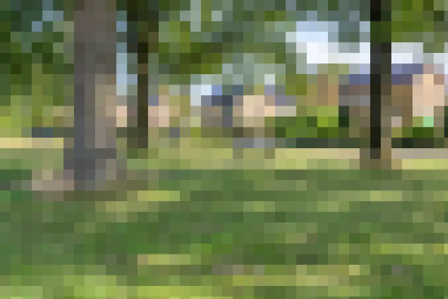 Wethouder Deodatusplantsoen 23 Roden thumbnail 6