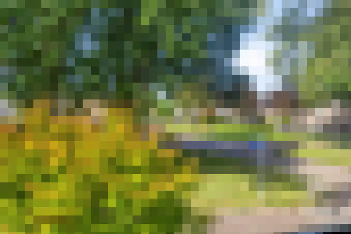 Wethouder Deodatusplantsoen 23 Roden thumbnail 61