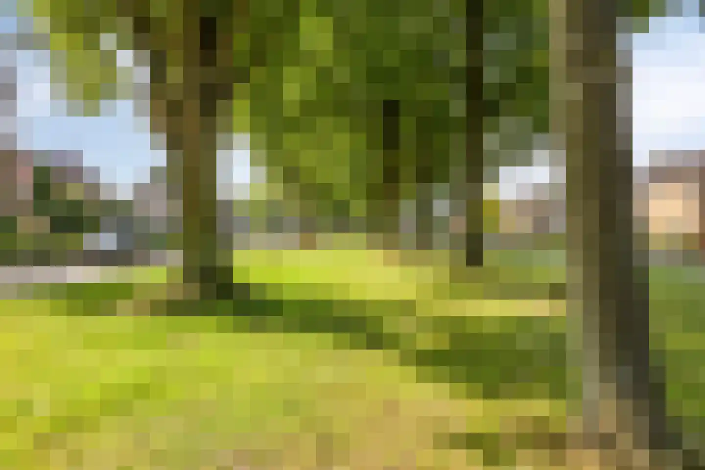 Wethouder Deodatusplantsoen 23 Roden thumbnail 63