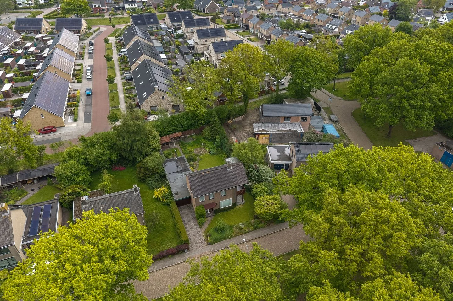 Wethouder Deodatusplantsoen 3 Roden thumbnail 58