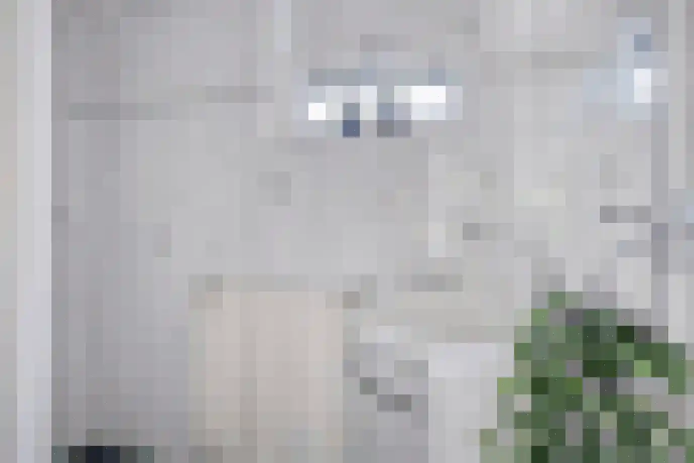 Wethouder Deodatusplantsoen 38 Roden thumbnail 31