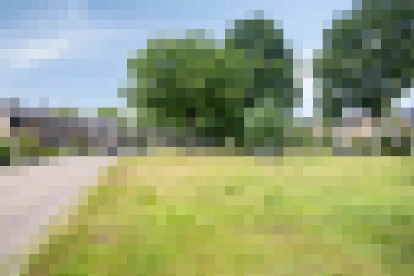 Wethouder Deodatusplantsoen 38 Roden thumbnail 48