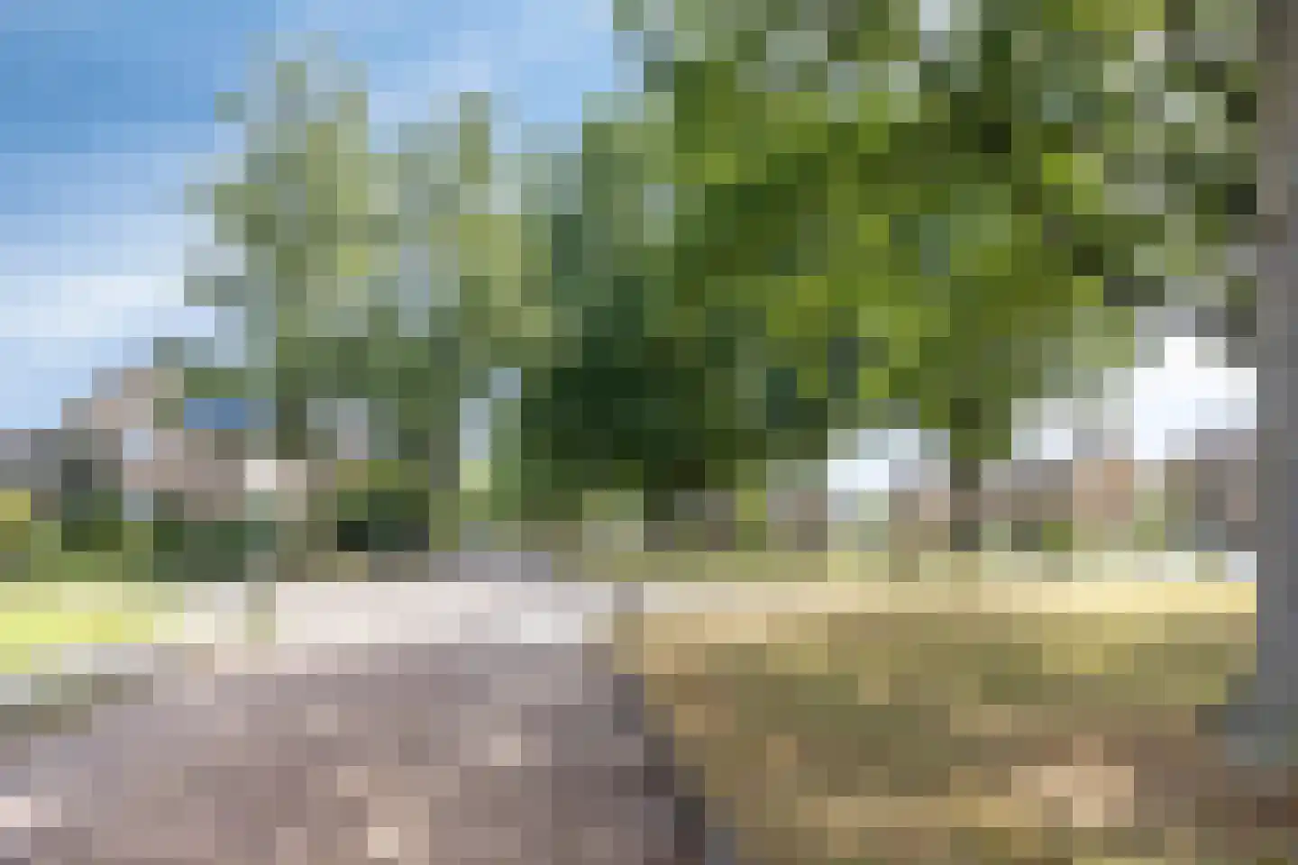 Wethouder Deodatusplantsoen 38 Roden thumbnail 52