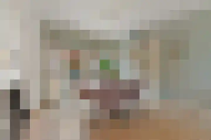 Wethouder Dijkshoornlaan 14 Maasland thumbnail 12