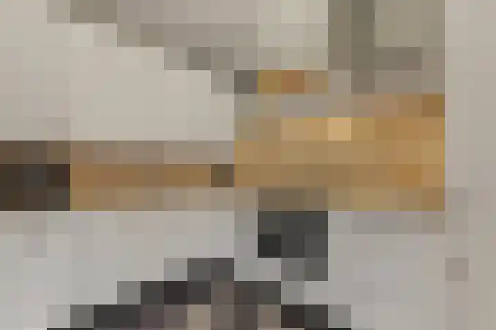Wethouder Dijkshoornlaan 14 Maasland thumbnail 15