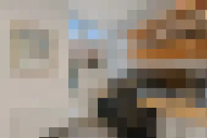 Wethouder Dijkshoornlaan 14 Maasland thumbnail 17