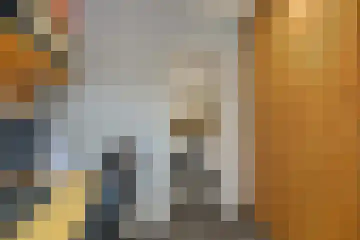 Wethouder Dijkshoornlaan 14 Maasland thumbnail 18