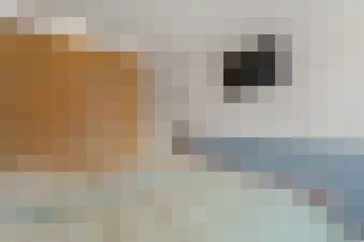 Wethouder Dijkshoornlaan 14 Maasland thumbnail 23