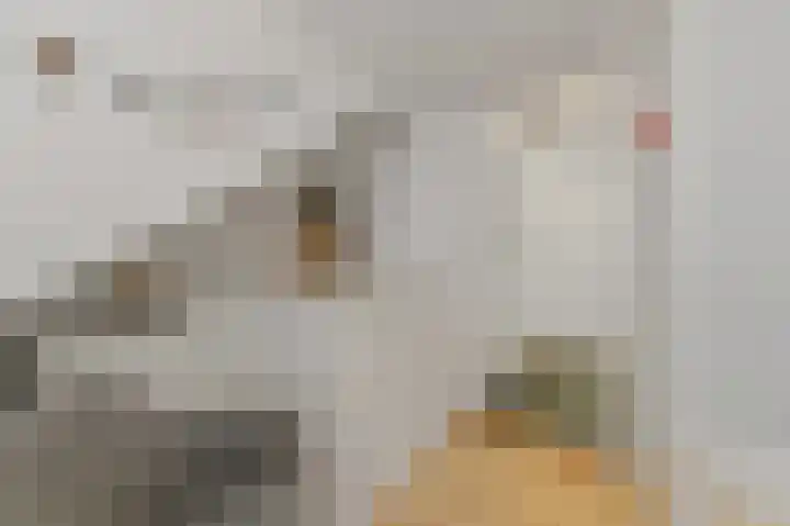 Wethouder Dijkshoornlaan 14 Maasland thumbnail 28