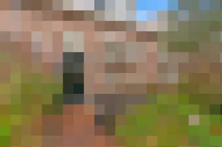 Wethouder Dijkshoornlaan 14 Maasland thumbnail 6
