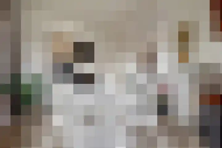 Wethouder Dijkshoornlaan 9 Maasland thumbnail 11