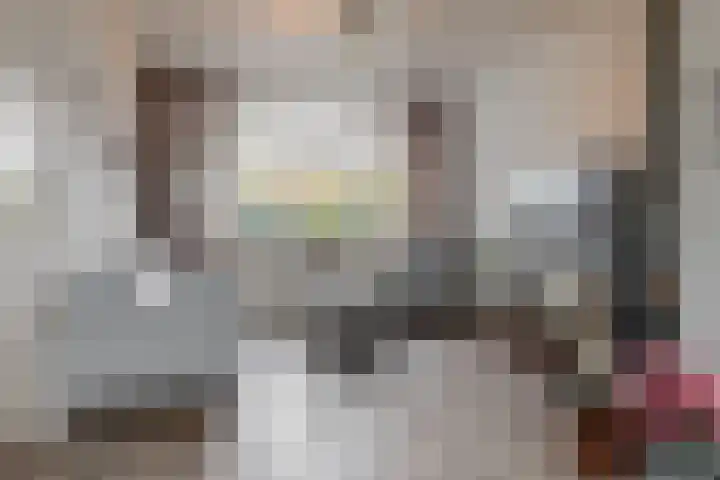 Wethouder Dijkshoornlaan 9 Maasland thumbnail 13