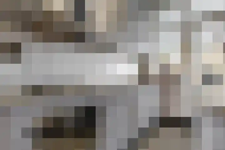Wethouder Dijkshoornlaan 9 Maasland thumbnail 14