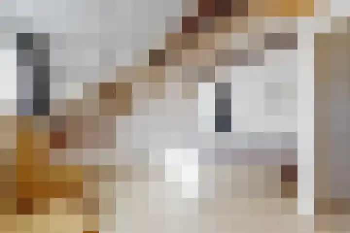 Wethouder Dijkshoornlaan 9 Maasland thumbnail 18