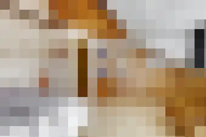 Wethouder Dijkshoornlaan 9 Maasland thumbnail 19