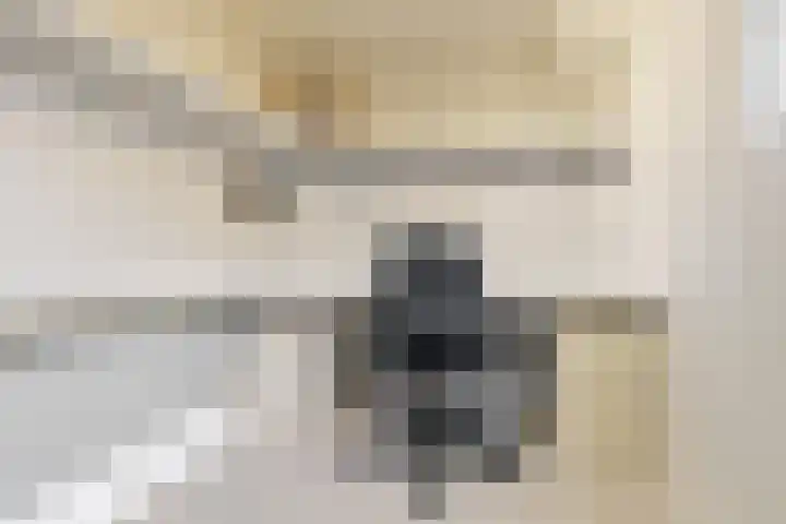 Wethouder Dijkshoornlaan 9 Maasland thumbnail 22