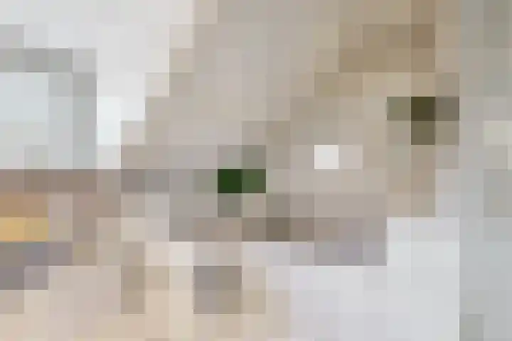 Wethouder Dijkshoornlaan 9 Maasland thumbnail 23