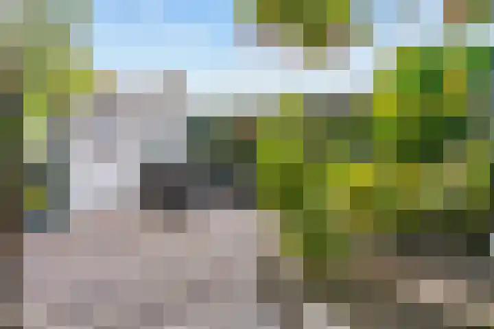 Wethouder Dijkshoornlaan 9 Maasland thumbnail 26