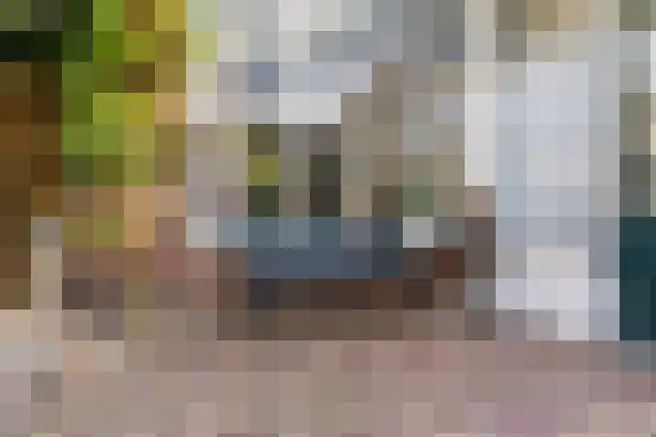 Wethouder Dijkshoornlaan 9 Maasland thumbnail 28