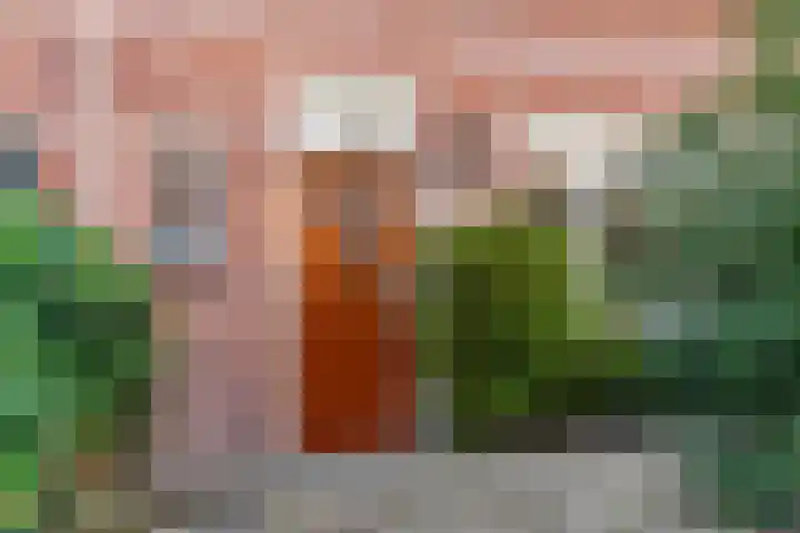 Wethouder Dijkshoornlaan 9 Maasland thumbnail 36