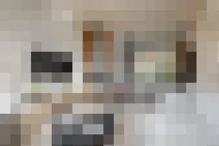 Wethouder Dijkshoornlaan 9 Maasland thumbnail 8